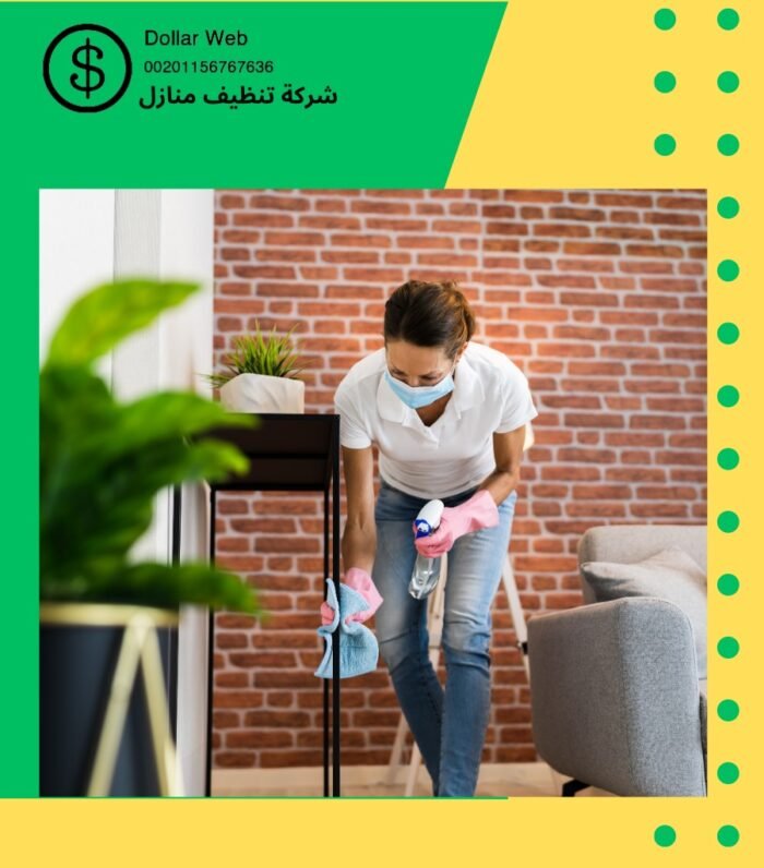 شركات تنظيف منازل دبي